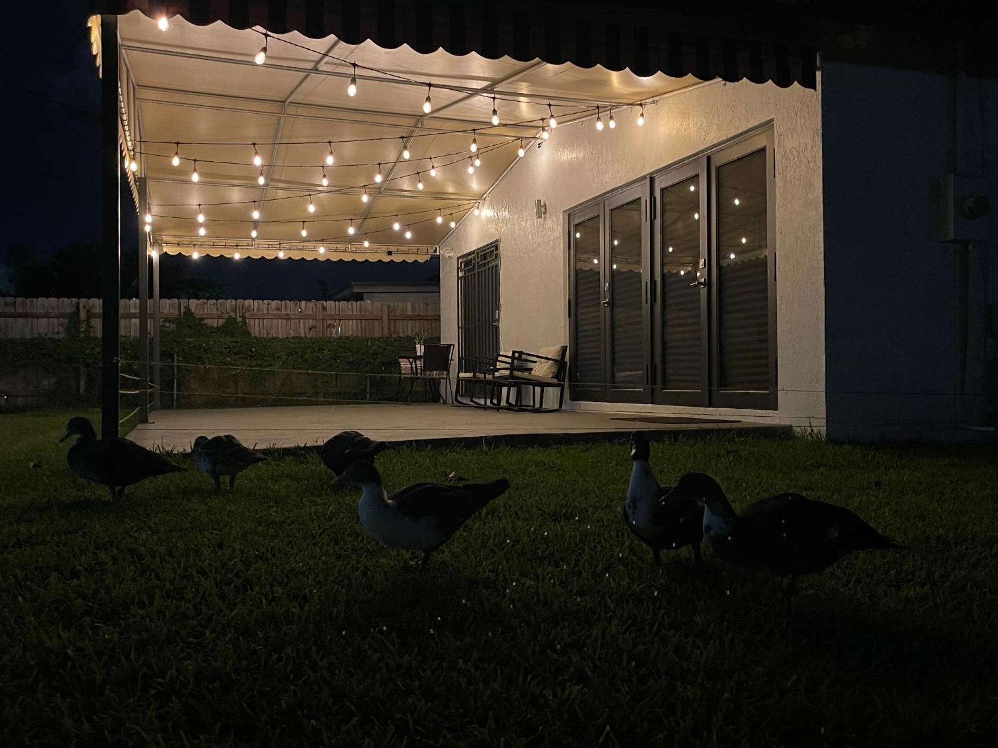 Lyz Miami Otel Coral Gables Dış mekan fotoğraf